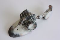 Schnabelschuh, 2011