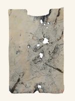 Torso, 35 x 50, 2007, Mischtechnik auf Karton